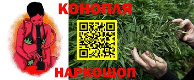 стаф Нальчик