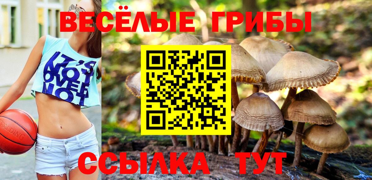 Псилоцибиновые грибы мухоморы  Вход с VPN  Псилоцибиновые грибы ЛСД  Славгород 